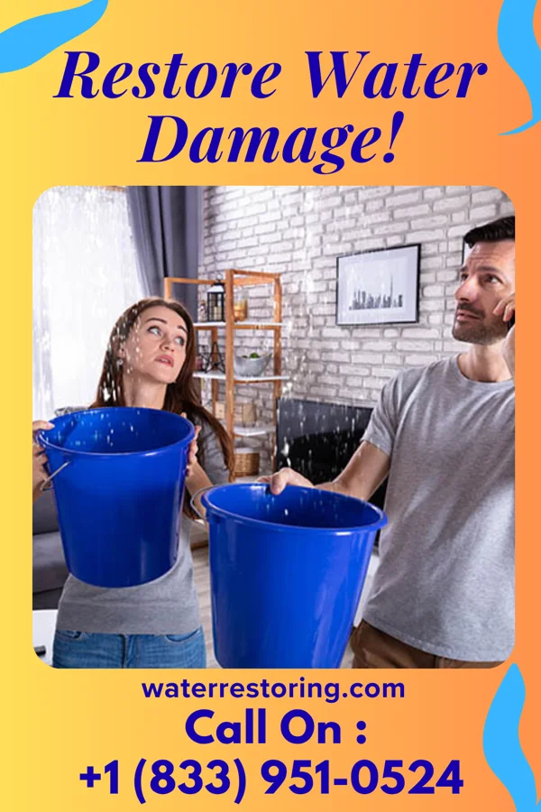 water restoration Stellar Storm Damage Experts Tarnov