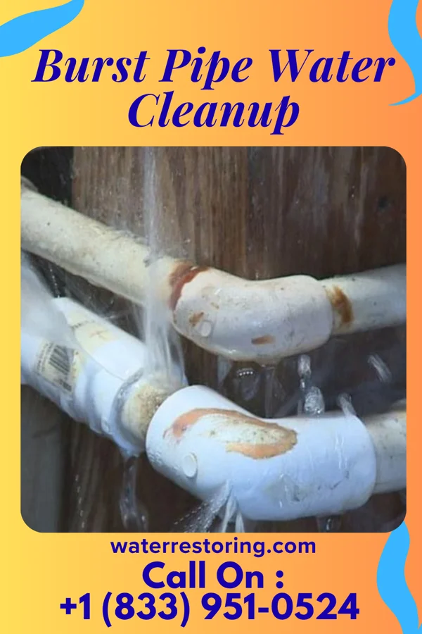 Burst Pipe Water Cleanup in Tarnov, NE