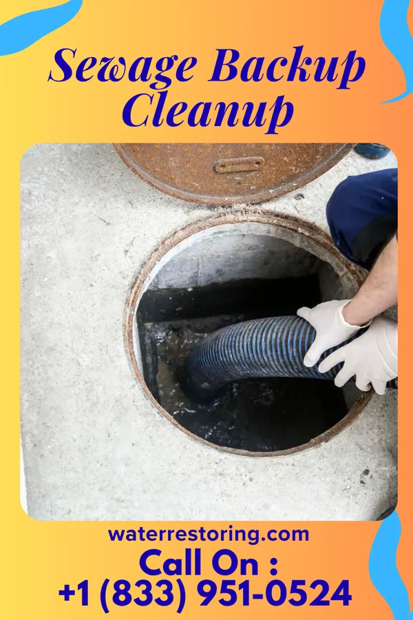 Sewage Backup Cleanup in Tarnov, NE